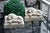 Sleeping Lion Monument Statuary Statues Pair Small Balcony Patio Set Of 2 Vintage Stunning pair of sleeping lion statues....