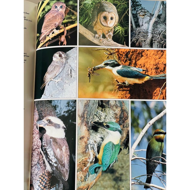 1970s Coffee Book the Photographic Guide Birds of the World For Sale - Image 5 of 10