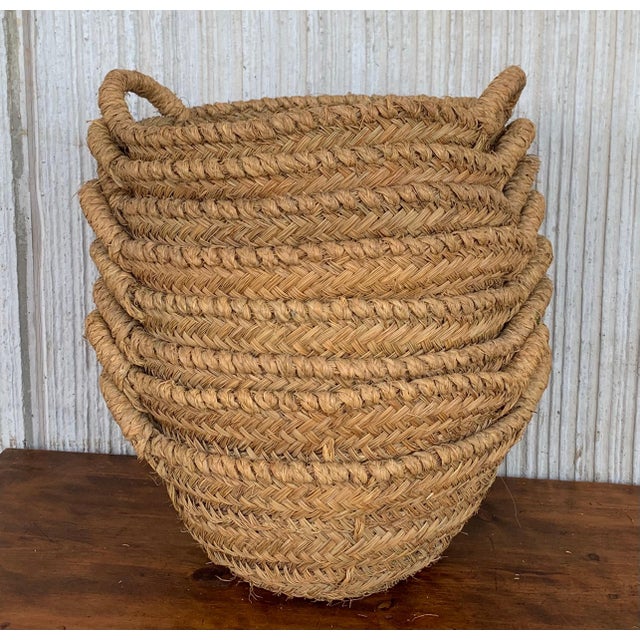 Brown Late 19th Century Set of 8 Spanish Woven Wicker Olive Grape Harvest Basket For Sale - Image 8 of 18