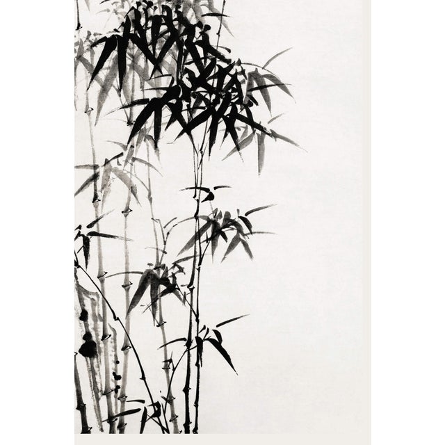 Contemporary Chinese Bamboo by Zheng Xie, Vintage Art Print, 16" X 24" For Sale - Image 3 of 11