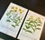 Mid 18th Century Pair of 18th-Century Hand-Colored Botanical Marigolds & Loosetrife Engravings by Johann Wilhelm Weinmann, C. 1740 For Sale - Image 5 of 5