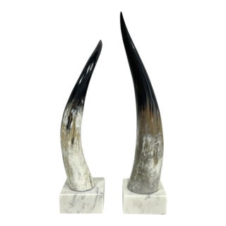 Pair of Horn Sculptures on Marble Bases, 18" For Sale
