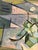 Hans Szym, Flowering Branch, Oil Painting on Canvas For Sale - Image 11 of 13