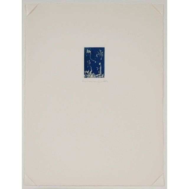 1970s "Baby Dragon Dreams" - 1976 Surrealist Lithograph on Paper by Jim Crabb For Sale - Image 5 of 5