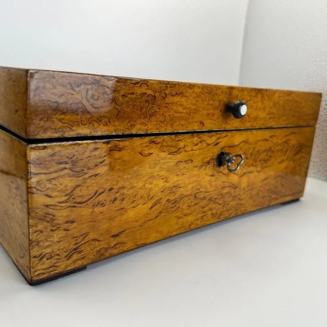 Biedermeier Box in Ice Birch and Brass, Germany, 1840s For Sale - Image 12 of 18