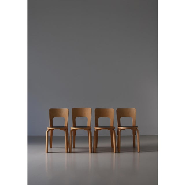 Set of vintage production model 66 chair by Alvar Aalto made in the 1960s. The chairs are made of laminated birch and...
