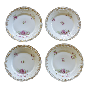 1890s German Ct Carl Tielsch Hand Painted Porcelain Floral Dessert or Salad Plates