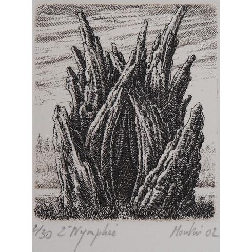 François Houtin, 2nd Nymphaeum, Etching For Sale - Image 4 of 4