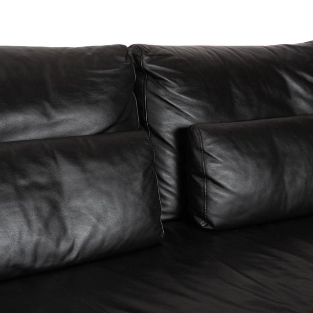 Harry Two-Seater Sofas in Leather from Ewald Schillig, Set of 2 For Sale - Image 9 of 17