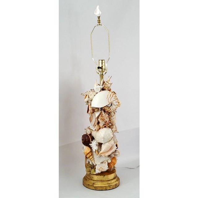 1950s Lamp Seashells Shells Extra-Large Size - Restored For Sale - Image 5 of 17