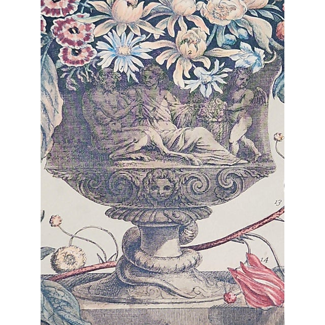 White Peter Casteels Botanical Reproduction Prints - A Pair For Sale - Image 8 of 9