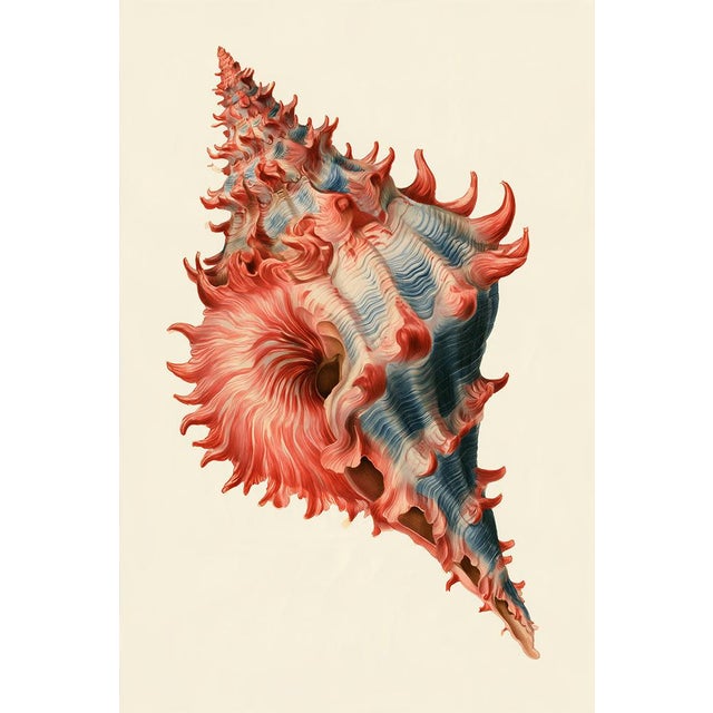 Set of 24 — Natural History Cabinet of Curiosities | 19th-Century Natural History Plates | Vintage Scientific Illustration | Gallery Wall Collection For Sale - Image 11 of 18