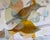 “Thrashers and Flowers” a Fun Bird Painting by LWren Walraven For Sale In Santa Fe - Image 6 of 16