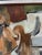 Vintage Large Lorraine Crawford Oil on Canvas Framed Abstract, Circa 1960’s For Sale - Image 10 of 18