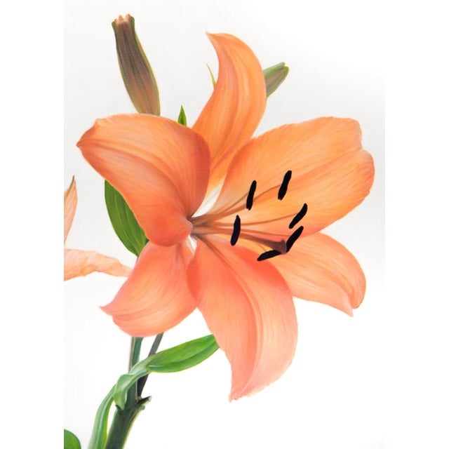 Contemporary A Study in Coral and Green - Oil on Canvas For Sale - Image 3 of 3