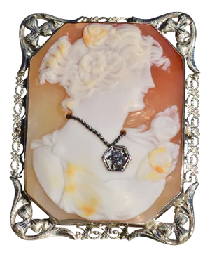 The Purisima: Ladies Vintage 14K White Gold Carved Shell Cameo Pin/Pendant
