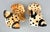 Orange Vintage Shafford Japan Ceramic Leopard Cub Figurines — Hand-Painted Pair — Hollywood Regency / Whimsical For Sale - Image 8 of 10