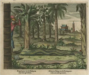 Chinese Snakes with Temple and Pagoda, 1660, Paper