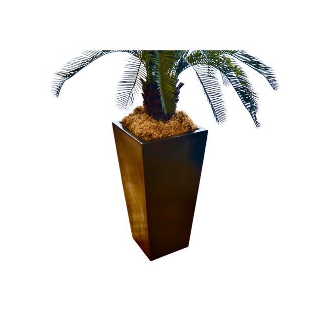 Tall weighted black wood floor vase planter and large intricately detailed artificial faux plastic Cycas Sago palm tree...