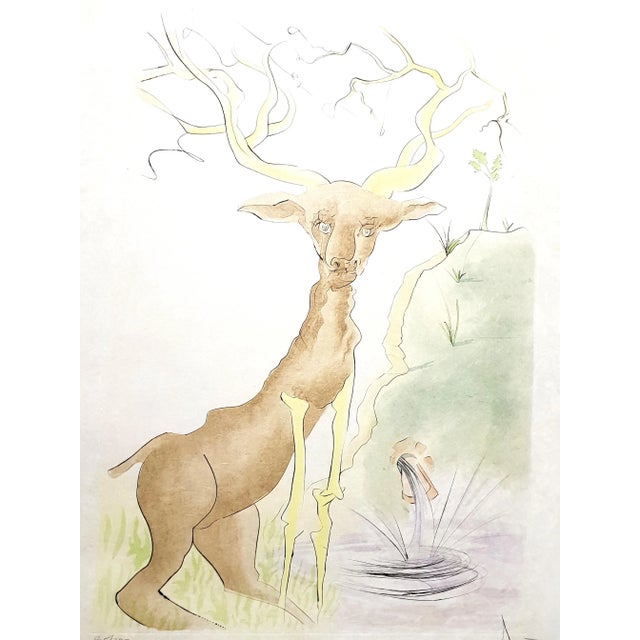 Salvador Dali - Le Cerf from Le Bestiaire de la Fontaine - Signed Engraving 1974 For Sale - Image 9 of 9