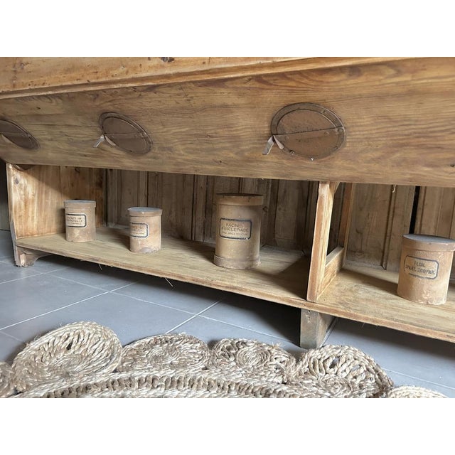 Vintage Fir Seed Cabinet For Sale - Image 9 of 11