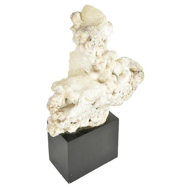 This impressive natural concretion of calcite, mounted on a black wooden base, stands out as a raw work of mineral and...