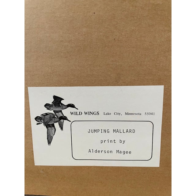 Paper Alderson Magee Signed Framed Photograph Flying DUCk Excellent 25x30”. 457/600 For Sale - Image 7 of 7