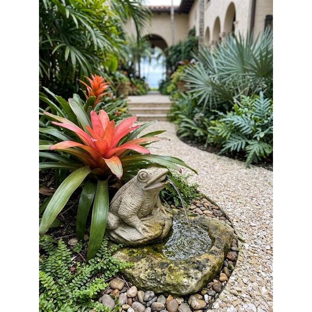 Stone Gray Vintage-Style Large Cast Stone Frog Fountain Spouter For Sale - Image 8 of 9