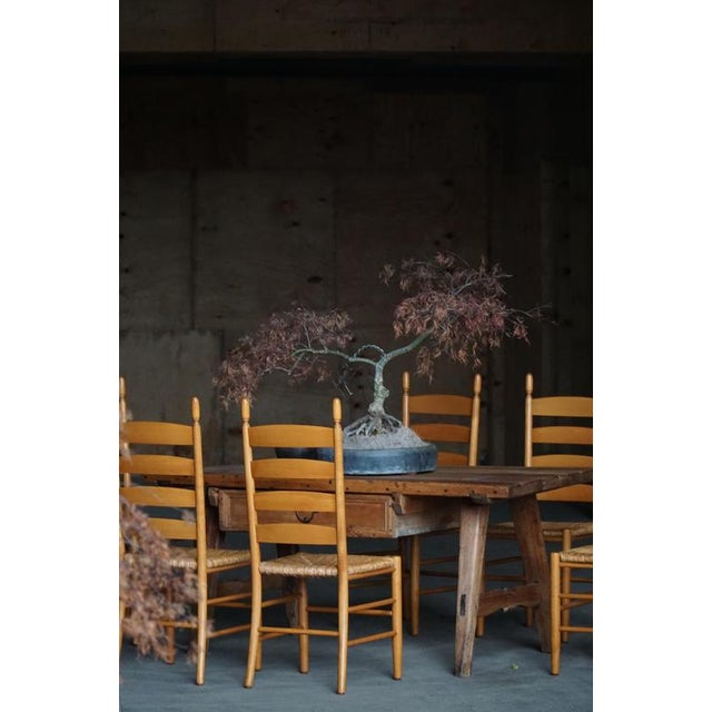 Italian Modern Beech Dining Chairs with Woven Seats in the style of Gio Ponti, 1960s, Set of 8 For Sale - Image 10 of 15