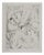 Mily Possoz, Lily of the Valley, Original Signed Engraving For Sale