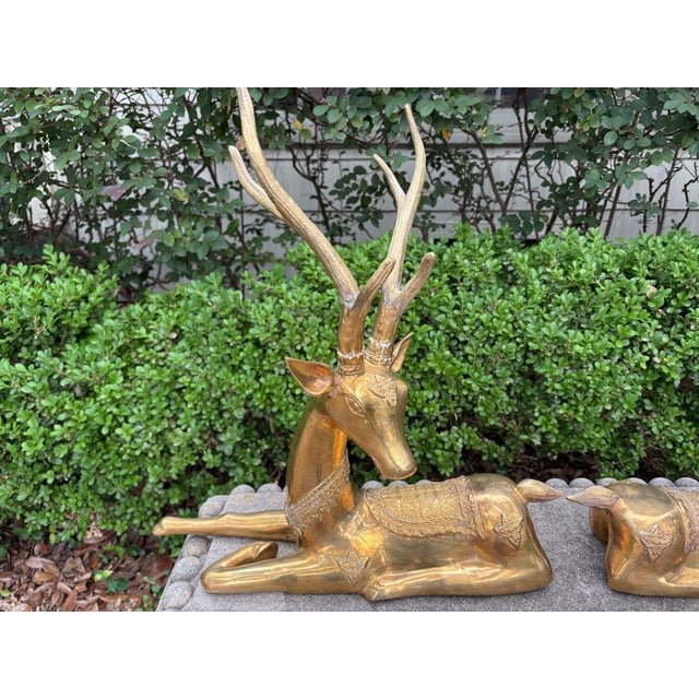 1960s Pair of Hollywood Regency Brass Stags For Sale In Houston - Image 6 of 13