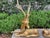 1960s Pair of Hollywood Regency Brass Stags For Sale In Houston - Image 6 of 13