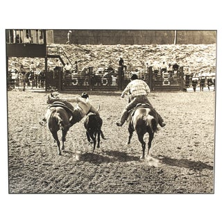 Signed Photography Print "Dogging From the North" For Sale