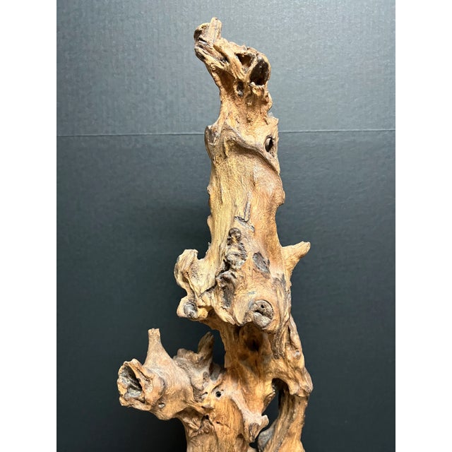 ITEM NAME: Vintage Natural Abstract Driftwood Art Sculpture with Wooden Base ORIGIN: USA AGES: Late 20th Century...