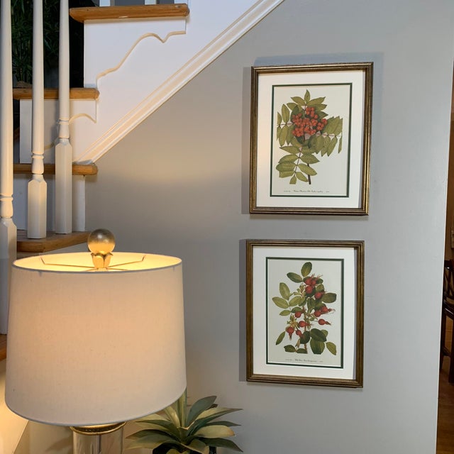 Vintage Botanical Prints - Authentic 1953 Gold Framed Set of 6 | Chairish