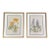 Vintage Botanicals Framed Set of 2 - Authentic Vintage 1953 Prints For Sale