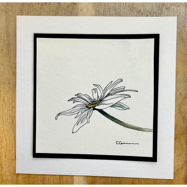 Set of 4 small Giclee prints on textured paper of watercolor ink and Wash drawings. I grew these white daisies on my...