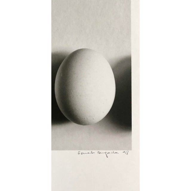 Fernando Bengoechea Signed Original Photographic Print, “Shadow Study” For Sale - Image 4 of 4