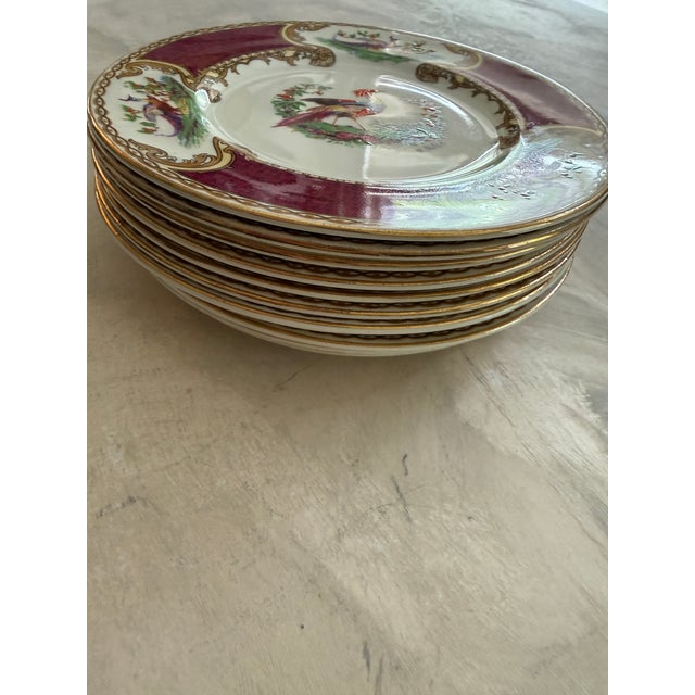 Antique Myott Chelsea Bird Bread Plates – 6 3/8-Inch Staffordshire England Porcelain With Burgundy and Gilt Decoration - Set of Eleven (11) For Sale In Chicago - Image 6 of 12