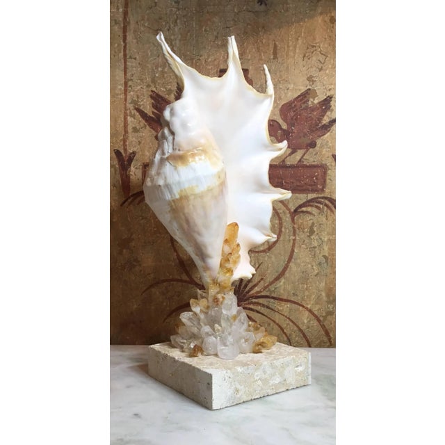 Contemporary One of a Kind Seashell and Crystal Quartz Citrine by Joseph Malekan For Sale - Image 10 of 13