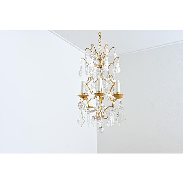 French Vintage Gilt Bronze Chandelier in the Manner of Baguès For Sale - Image 9 of 15