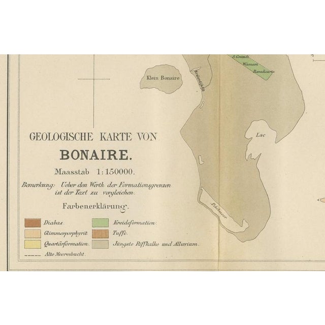 Late 19th Century Geological Map of Bonaire in the Dutch West Indies by Karl Martin, 1888 For Sale - Image 5 of 9