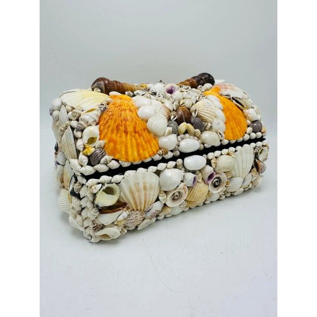 Eggshell Vintage Domed Shell Box For Sale - Image 8 of 9