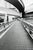 Taco, Monochrome Metropolitan Expressway Route No. 3, Meguro, Tokyo, 2023, Archival Pigment Print For Sale - Image 14 of 14