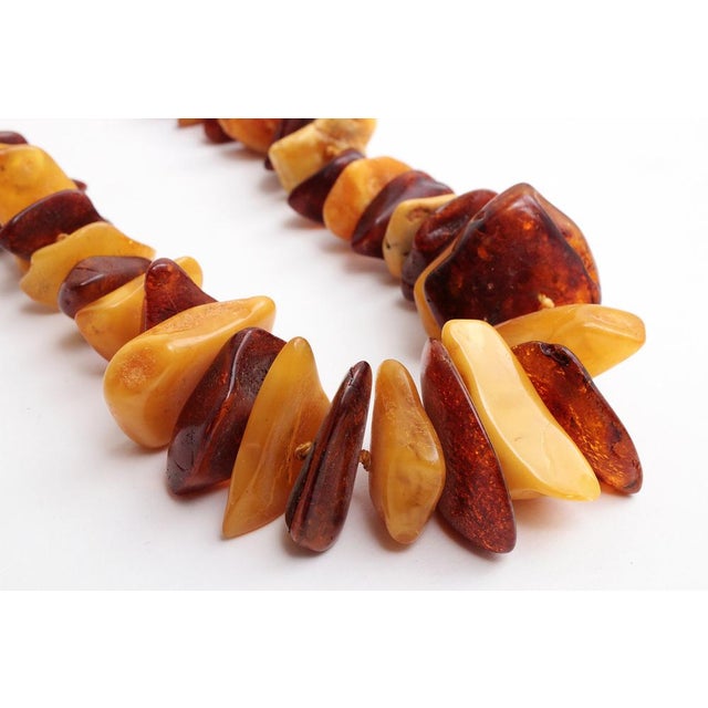 Vintage Three Amber Necklaces, 1960s, Set of 3 For Sale - Image 16 of 18