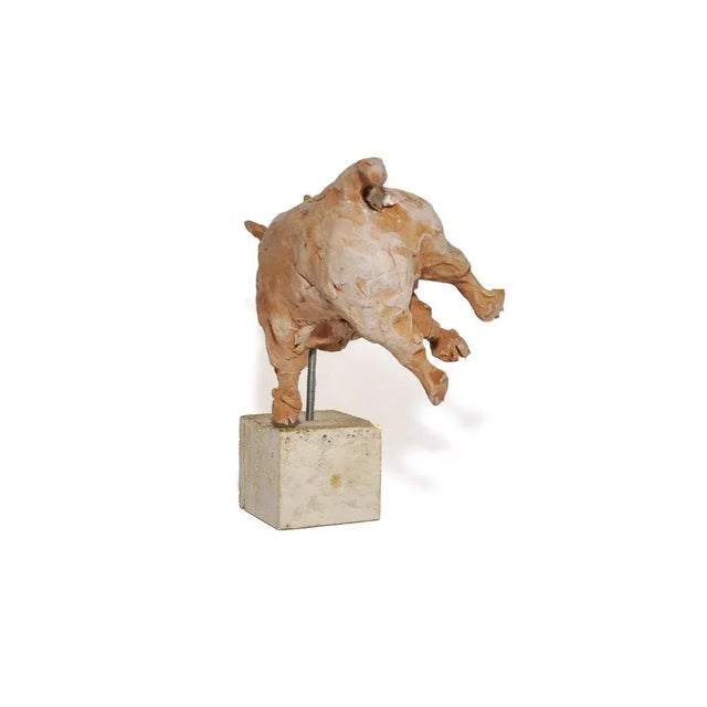 Sculpture made by the artist Mario Bertozzi terracotta depicting a "bull" with marble base and engraved signature. Single...
