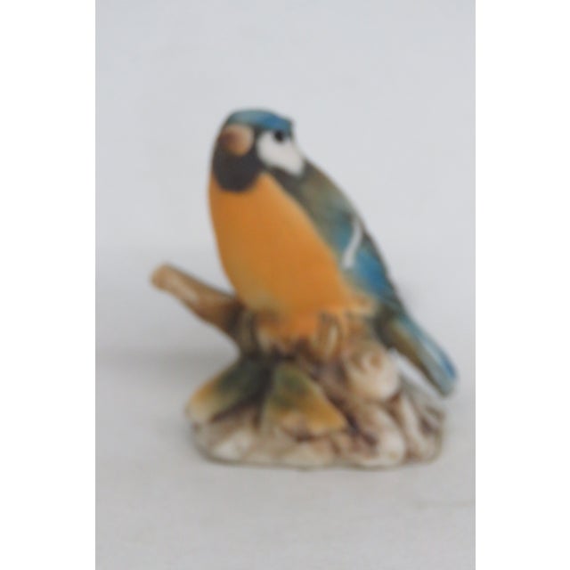 Capodimonte Savastano Eurasian Blue Tit Ceramic Figurine Bird on a Branch 4496b For Sale - Image 13 of 17