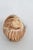 Harmony Kingdom Roly Poly Gleason Goat Ram Box Figurine With Original Box 5123b For Sale In Miami - Image 6 of 17
