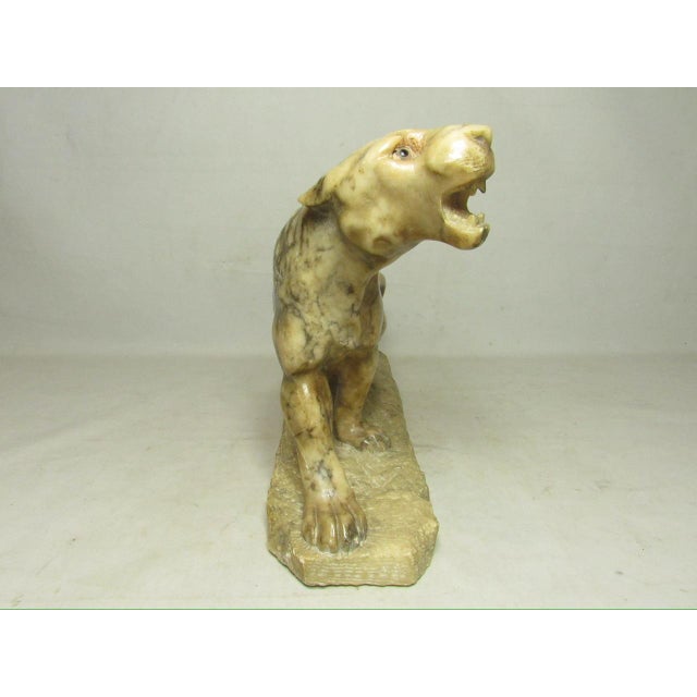 Grand Tour Grand Tour Italian Marble Lion For Sale - Image 3 of 12