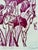 1980s 1980s Original Hand Printed Lithograph “Burgundy Iris” For Sale - Image 5 of 10